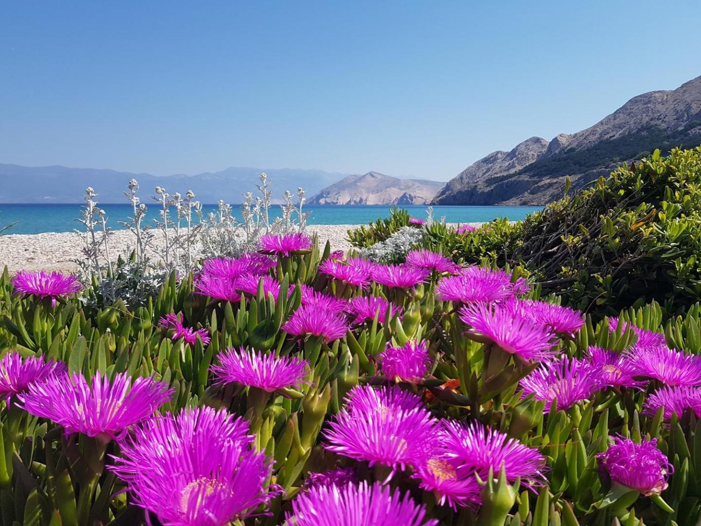 Apartments Kucar Baška Екстериор снимка